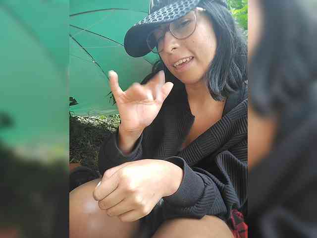WildAurora webcam