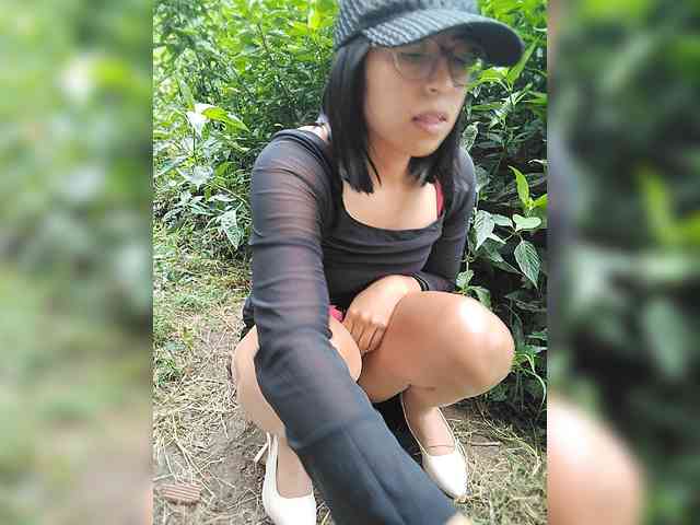 WildAurora webcam
