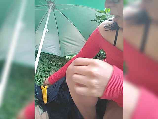 WildAurora webcam
