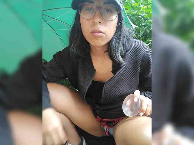 WildAurora webcam