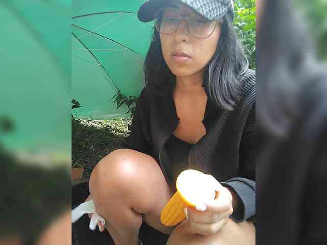 WildAurora webcam