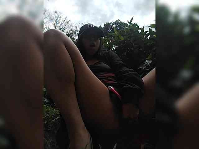 WildAurora webcam
