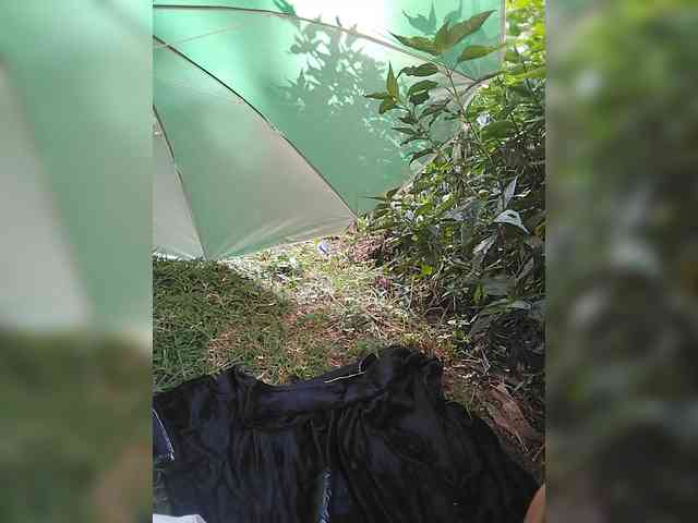 WildAurora webcam