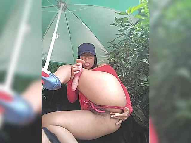 WildAurora webcam
