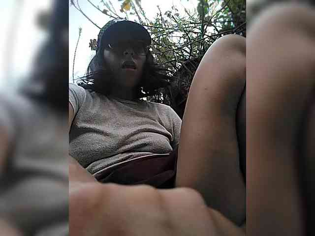 WildAurora webcam