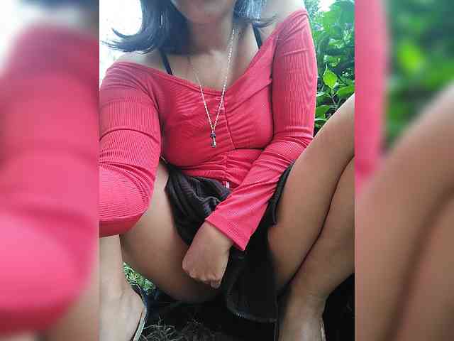 WildAurora webcam