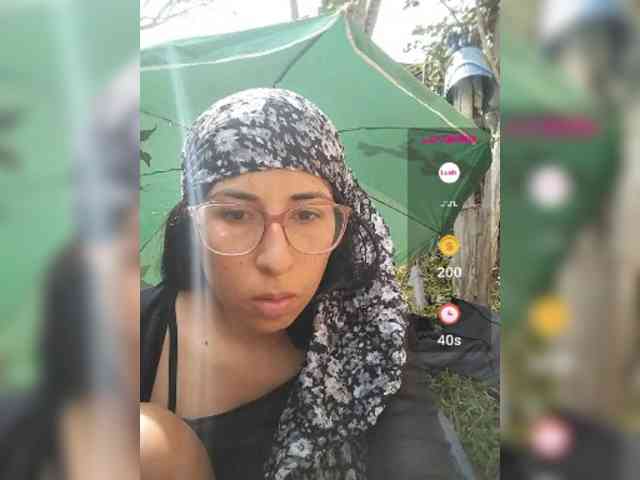 WildAurora webcam