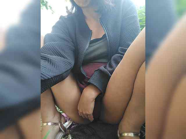 WildAurora webcam