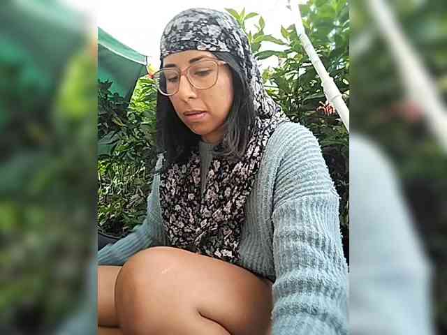 WildAurora webcam