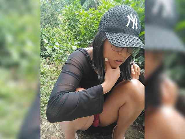 WildAurora webcam