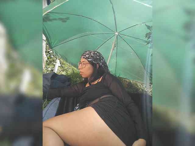 WildAurora webcam