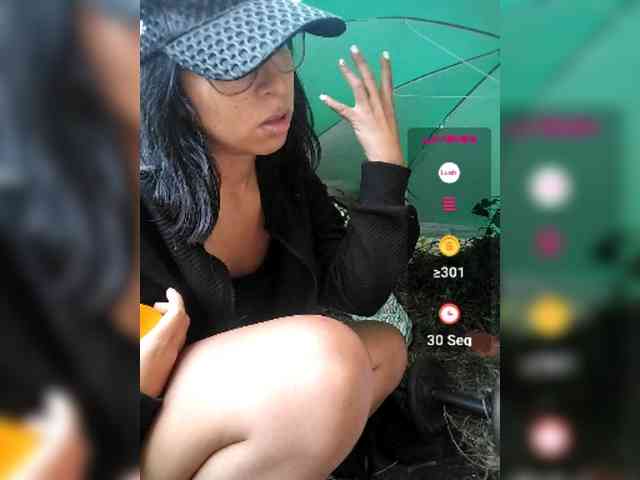WildAurora webcam