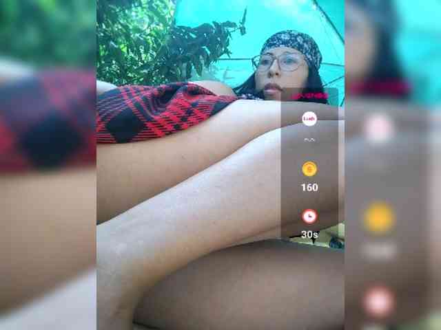 WildAurora webcam