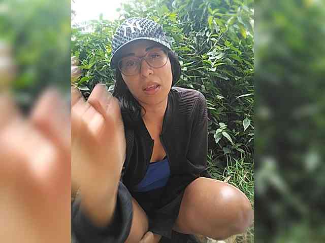 WildAurora