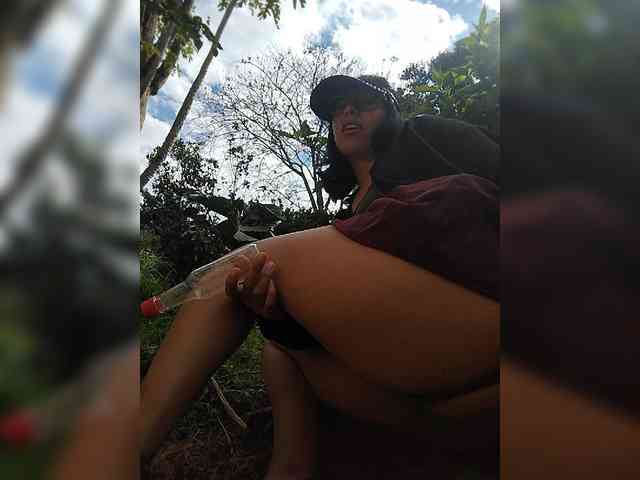 WildAurora