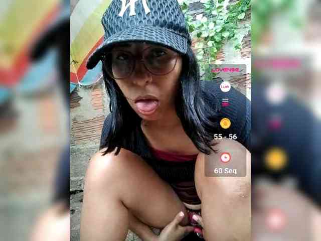 WildAurora webcam