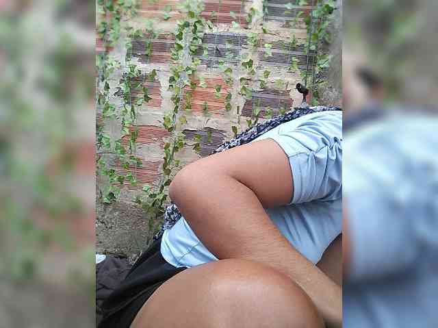 WildAurora webcam