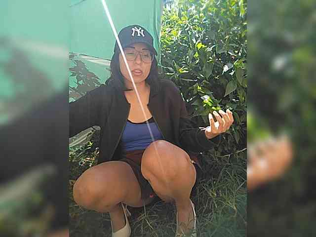 Modelo: WildAurora