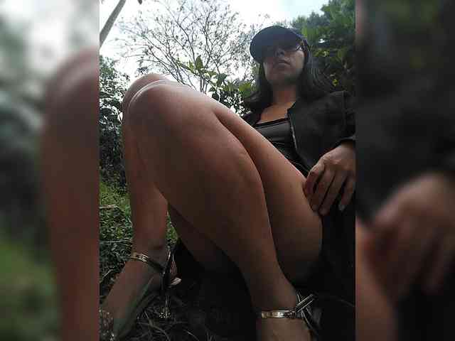 WildAurora webcam
