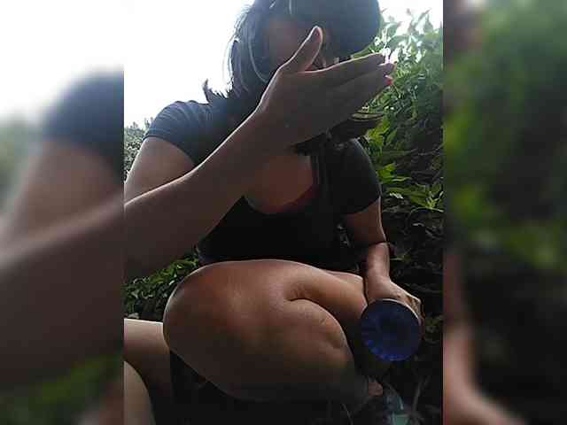 WildAurora webcam