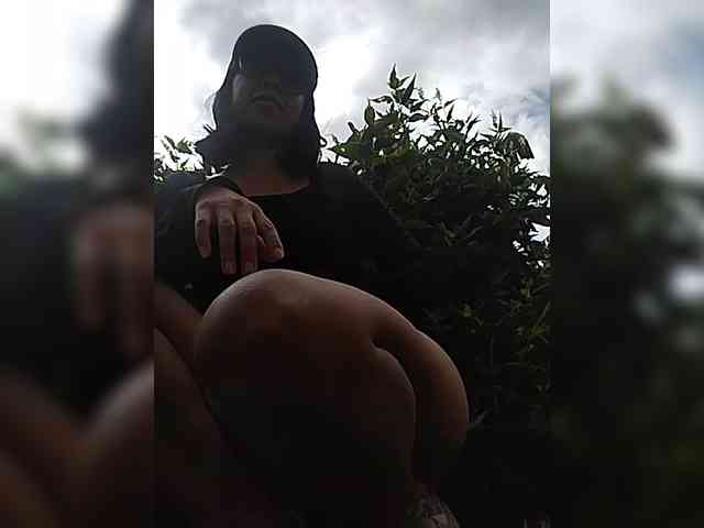 WildAurora