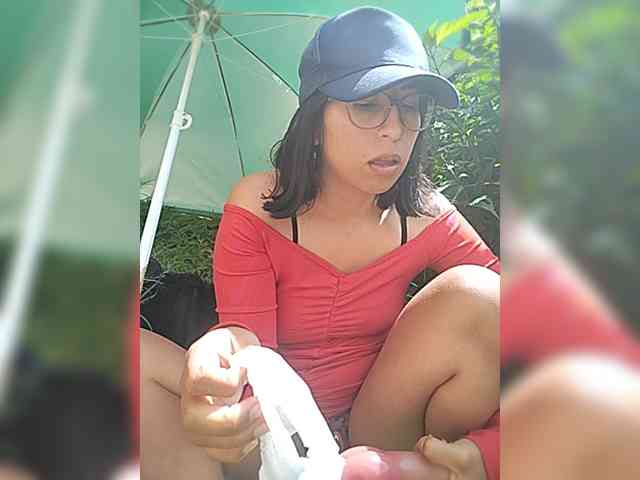 WildAurora webcam