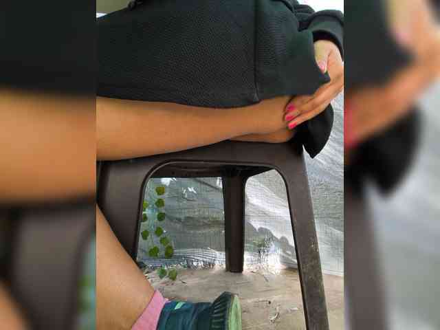 WildAurora webcam