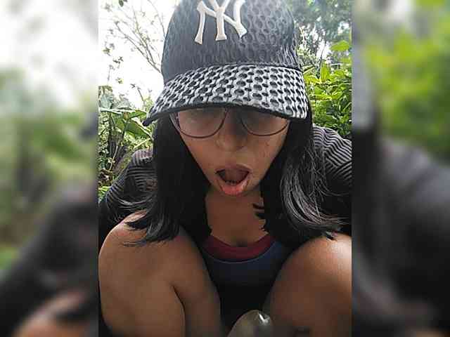 Modelo: WildAurora