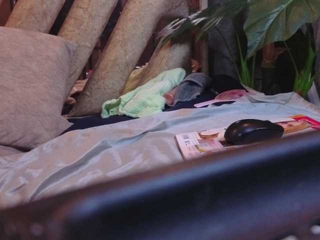 liisa-thompson live cam on BongaCams