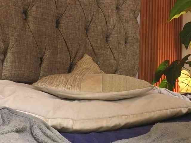liisa-thompson webcam