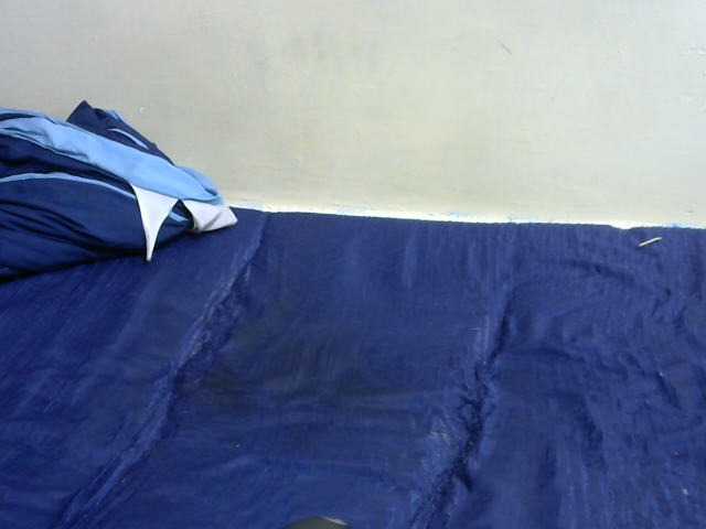 Beautybae live cam on BongaCams