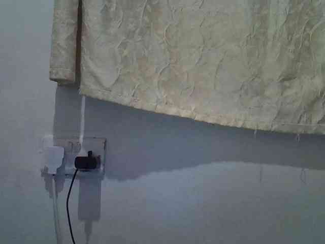 Smileylily webcam