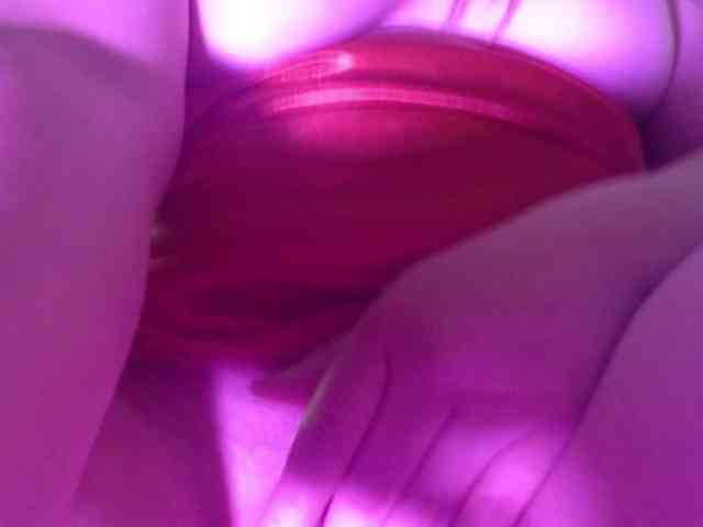 KittyNova webcam