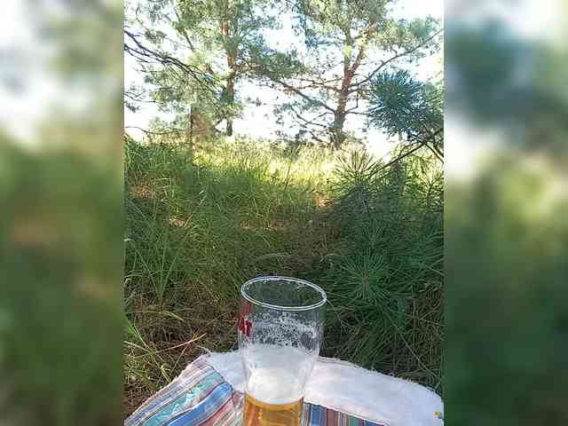 Markap Markap