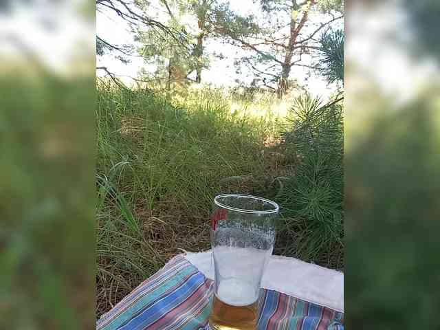Markap Markap