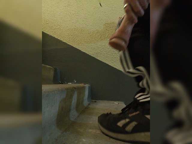 Fayst-1 live webcam show