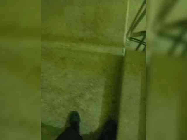 Fayst-1