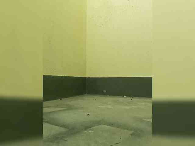 Fayst-1