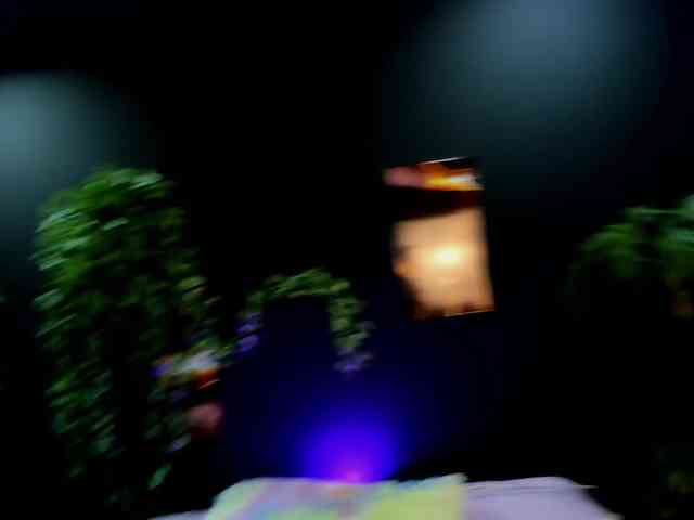 Scarlett-Moon webcam
