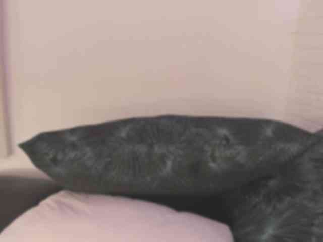 rocio-sp webcam