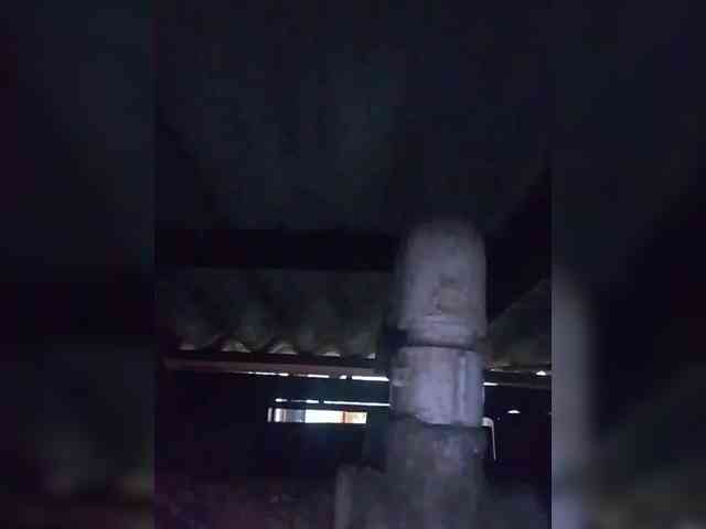 RareSeduction-1 webcam