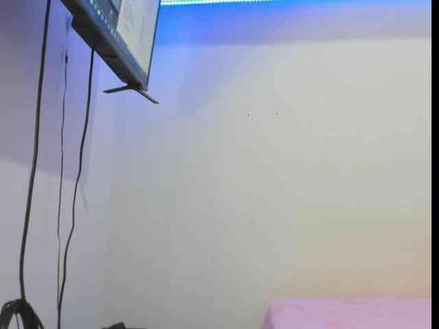 Alanabruner webcam