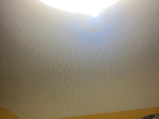 Chocolateboo598 Porn Show