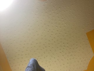 Chocolateboo598's Live Webcam