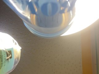 butterflyboo