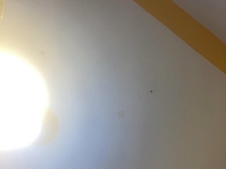 Chocolateboo598 Porn Show