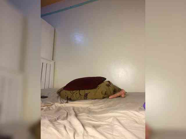 butterflyboo webcam