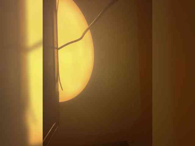 Chocolateboo598 webcam