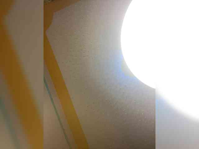 Chocolateboo598 webcam