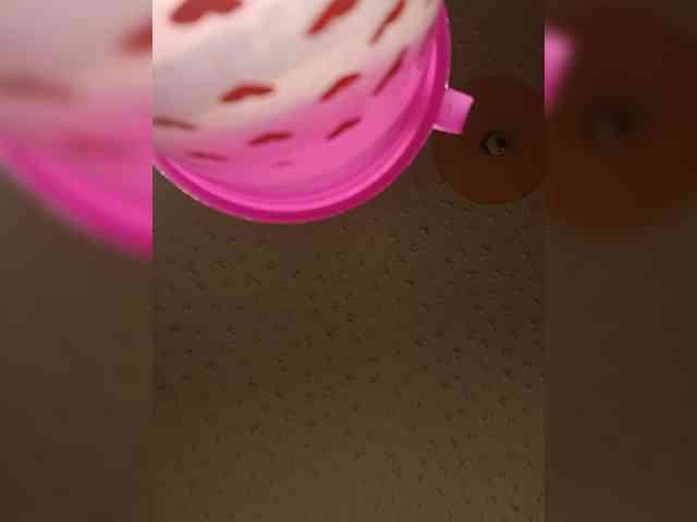 Chocolateboo598 webcam